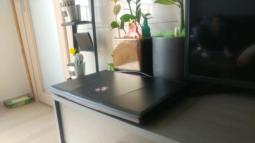 MSI GL63 8RE i7 게이밍 노트북/GTX1060 이미지