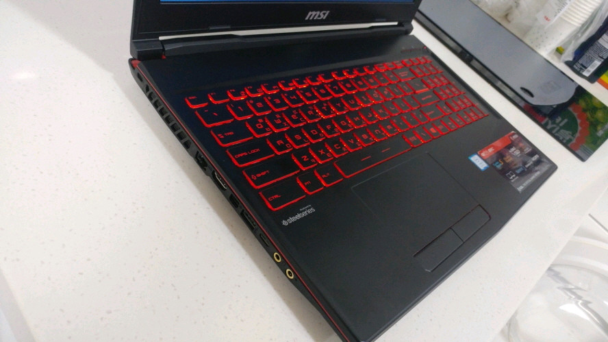 MSI GL63 8RE i7 게이밍 노트북/GTX1060 이미지