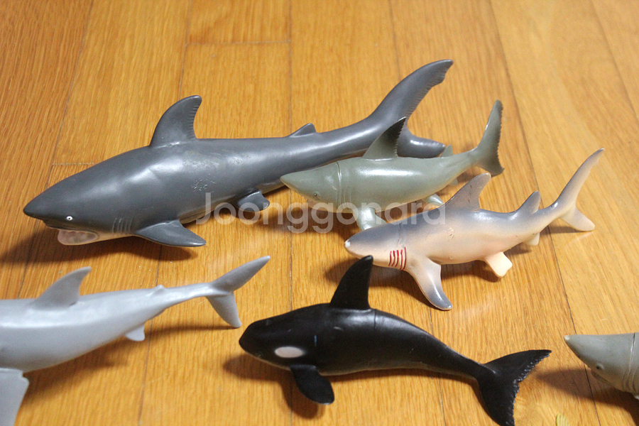 해양동물 피규어 바다동물 상어 고래 바다거북 바다표범 돌고래 장난감 동물피규어--1