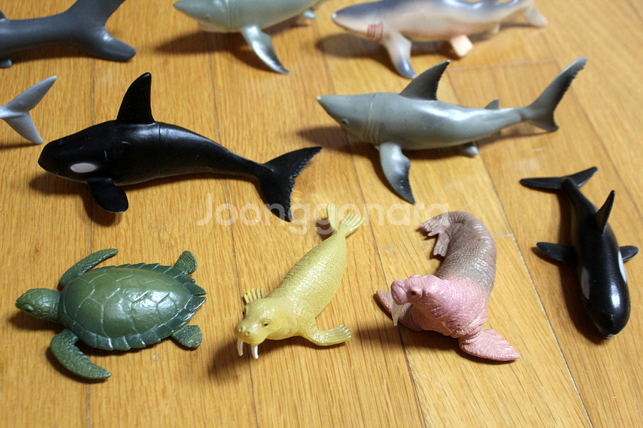 해양동물 피규어 바다동물 상어 고래 바다거북 바다표범 돌고래 장난감 동물피규어--2