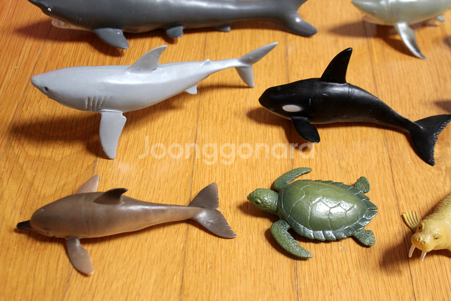 해양동물 피규어 바다동물 상어 고래 바다거북 바다표범 돌고래 장난감 동물피규어--3