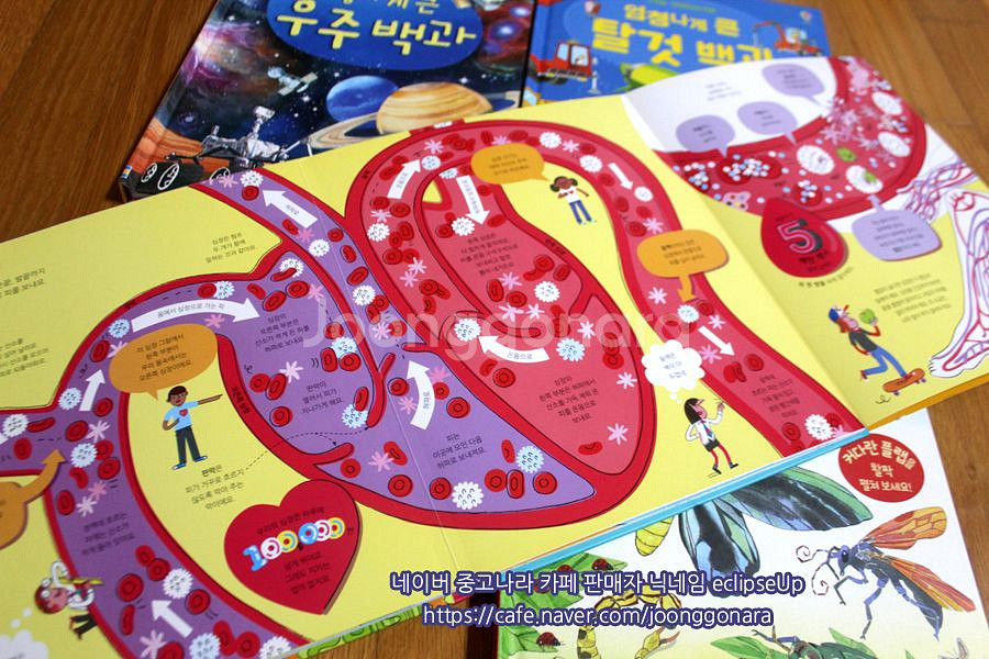 어스본 엄청나게큰백과사전 4종 플랩북 어린이책 유아책 초등학생책 어린이도서 어린이서적 저학년책 과학책 필독서--3