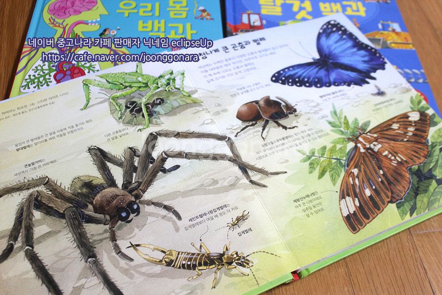 어스본 엄청나게큰백과사전 4종 플랩북 어린이책 유아책 초등학생책 어린이도서 어린이서적 저학년책 과학책 필독서--4