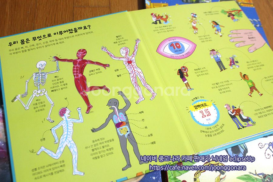 어스본 엄청나게큰백과사전 4종 플랩북 어린이책 유아책 초등학생책 어린이도서 어린이서적 저학년책 과학책 필독서--5