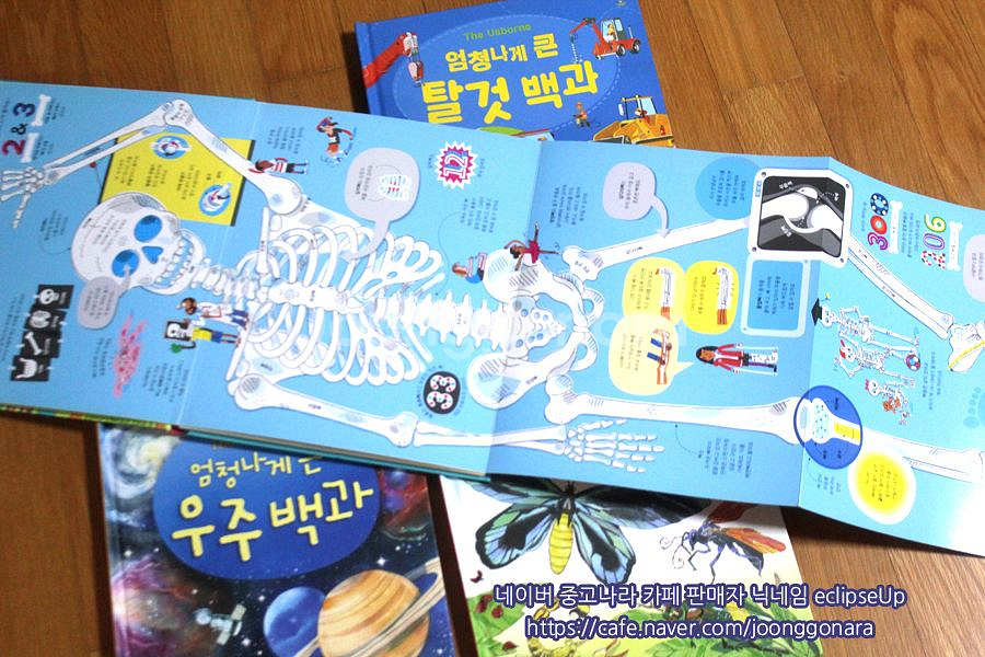 어스본 엄청나게큰백과사전 4종 플랩북 어린이책 유아책 초등학생책 어린이도서 어린이서적 저학년책 과학책 필독서--7