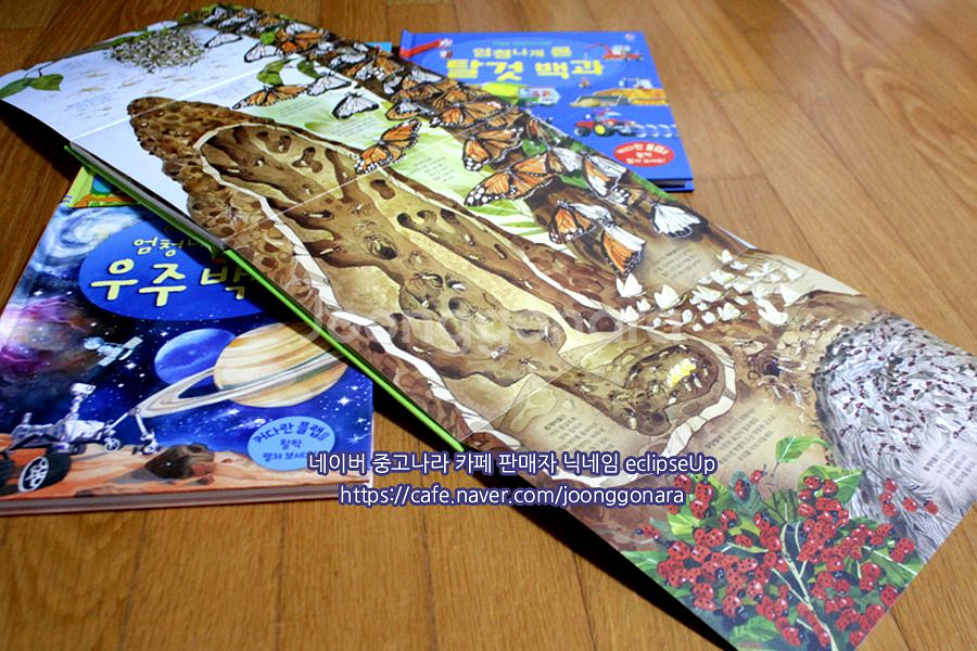 어스본 엄청나게큰백과사전 4종 플랩북 어린이책 유아책 초등학생책 어린이도서 어린이서적 저학년책 과학책 필독서--9