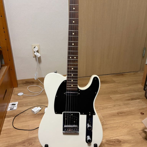 Fender Mexico Player Telecaster / 펜더 맥시코 플레이어 텔레캐스터