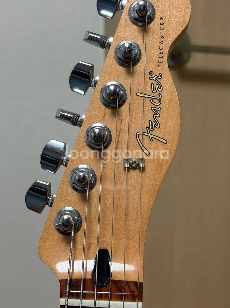 Fender Mexico Player Telecaster / 펜더 맥시코 플레이어 텔레캐스터--1
