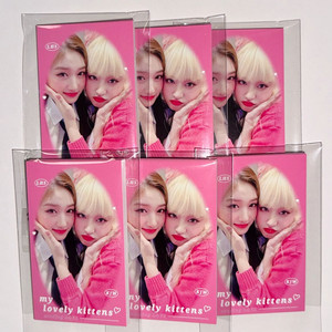 아이브 비공굿 아깽즈 리즈&이서 포카 양도 이미지