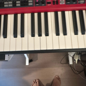 Nord Electro 6 HP 73 key Stage Piano 노드 건비니