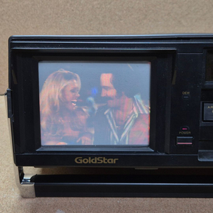 금성 골드스타 VHS 비디오 비젼