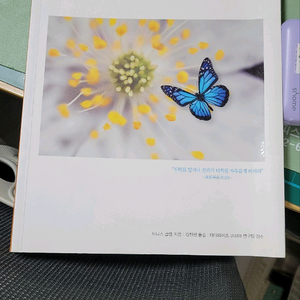 마더와이즈 교재 ㅡ 자유