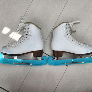 잭슨 Jackson 피겨 스케이트화 1791 1c(사이즈 190)