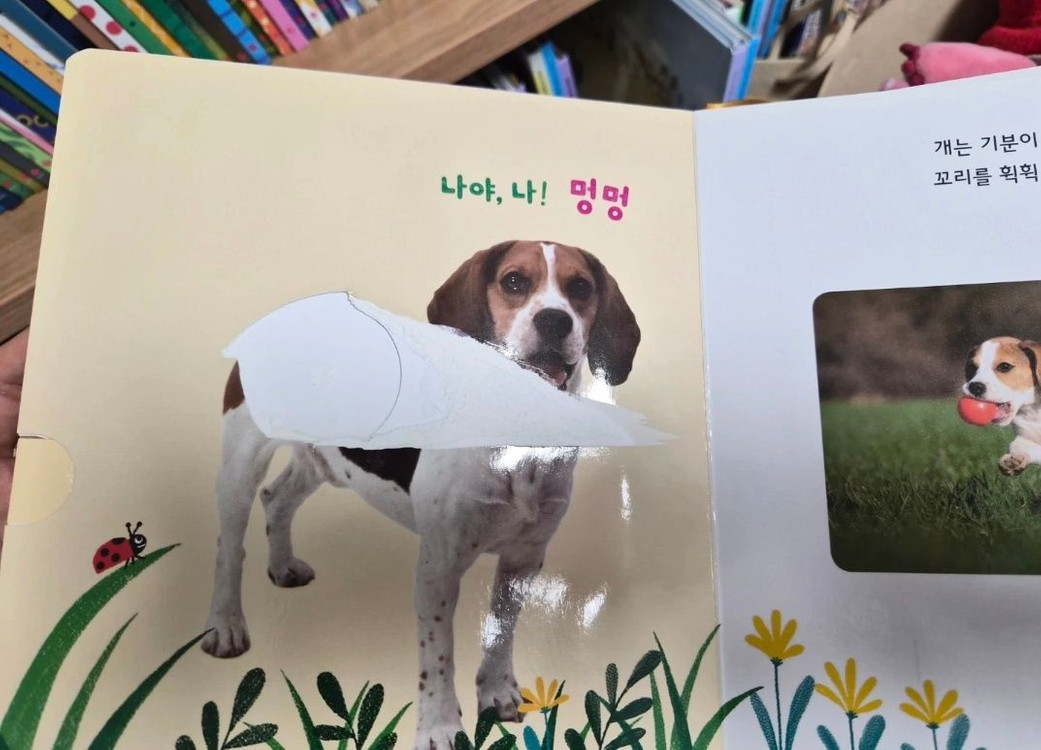 그레이트북스 놀라운 자연 전집 83권--7