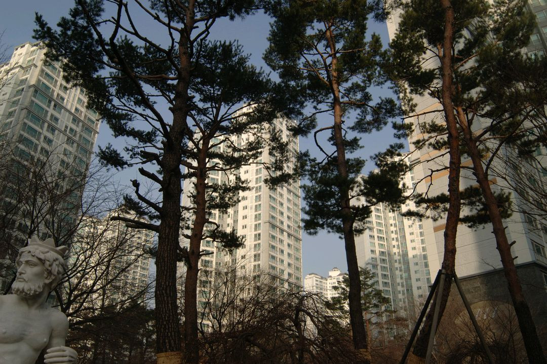 니콘 D2x DSLR 카메라 + 18-35mm 렌즈 세트--8