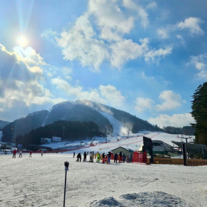 (2월) 모나용평/엘리시안강촌/오크밸리/비발디파크/한화평창/무주리조트 이미지