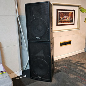 REAL Sound TS-15 스피커 & DETON 앰프 세트