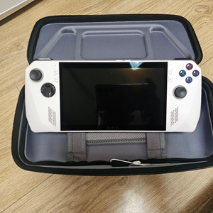 ASUS ROG ALLY 512gb+1테라sd카드 팝니다.