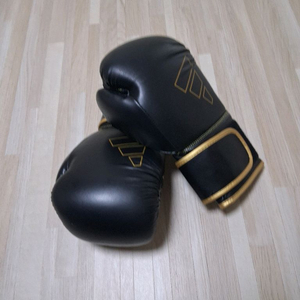 복싱글러브 12온스 이미지