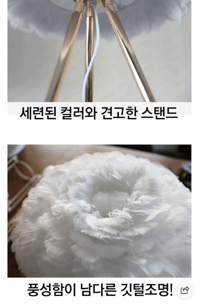 포라이트 EOS 깃털조명 테이블 스탠드--6