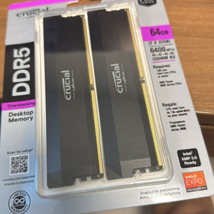 크루셜 프로 6400 ddr5 64gb(32x2)