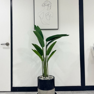 극락조 조화 대형 화분