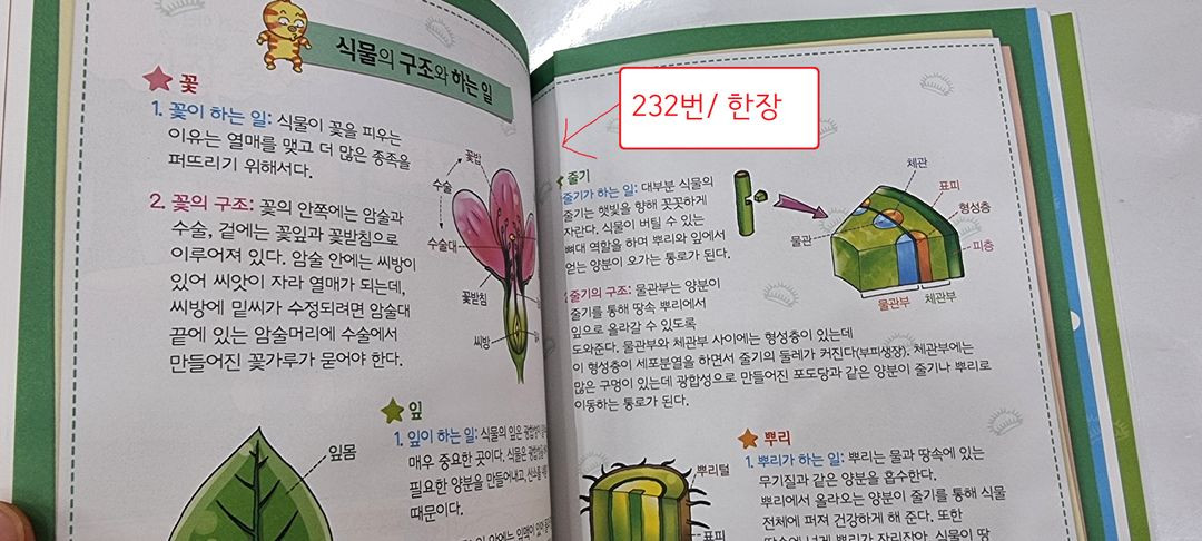 글송이 퀴즈과학상식 1-88번 /미사용새책그대로--1