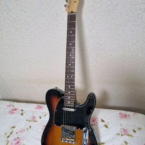 텔레캐스터 일렉기타