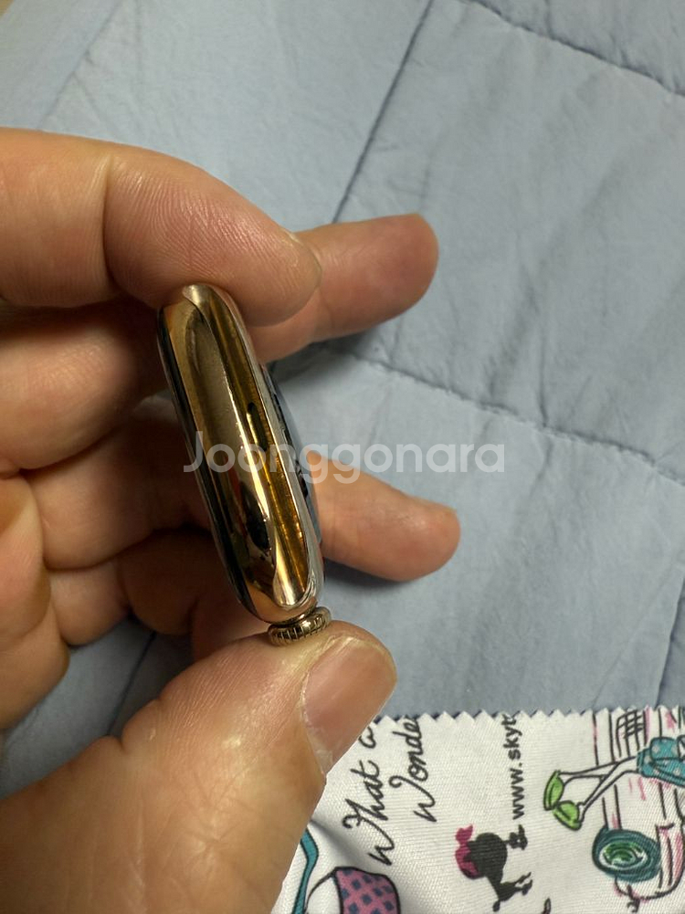 애플워치10 티타늄 골드 셀룰러 46mm--3