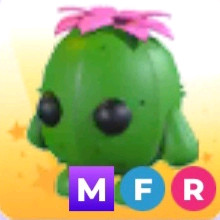 입양하세요 이미지