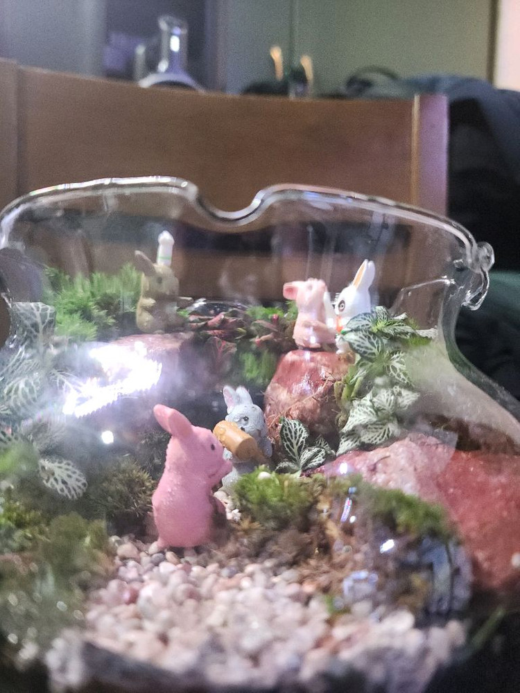 산토끼 테라리움 어항--1