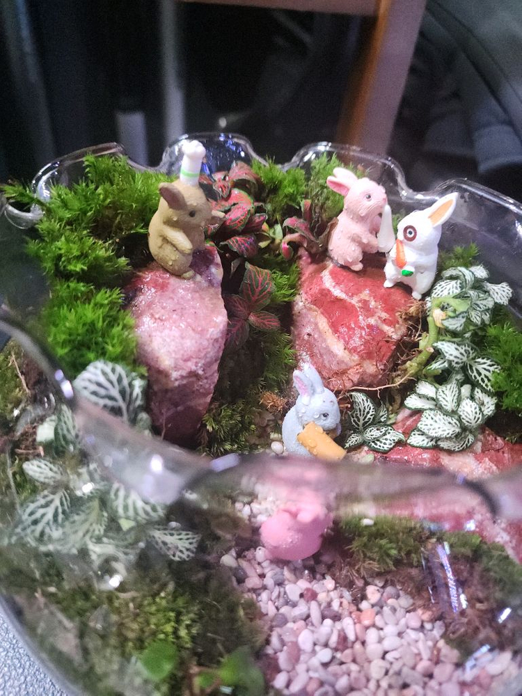 산토끼 테라리움 어항--3