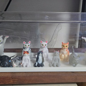 고양이 피규어 세트
