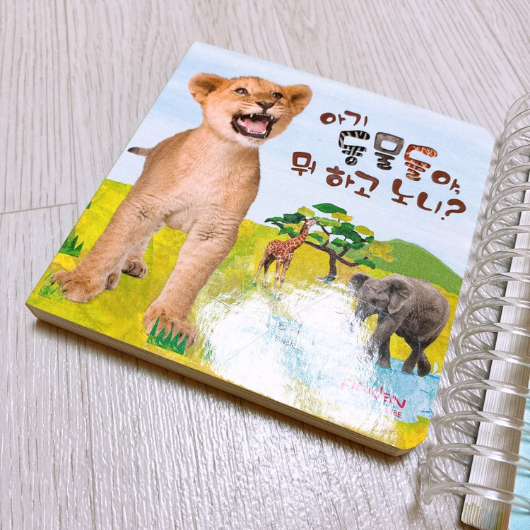 [한솔교육 FINDEN] 한솔 핀덴 베베 핀덴 스타터팩 세트 이미지