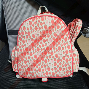 프레젠트프로젝트 리틀백팩