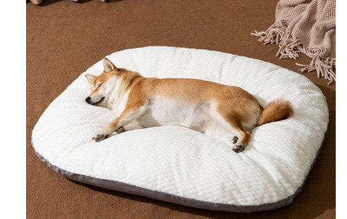 강아지 침대 쿠션 새상품 중형 대형중 선택 하세요--7