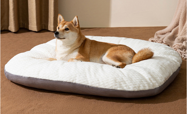 강아지 침대 쿠션 새상품 중형 대형중 선택 하세요--5