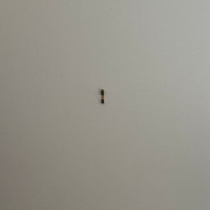 인터넷 + 와이파이 단기 혹은 양도 (3개월) 해주실 분