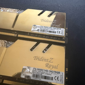 지스킬 트라이던트 로얄골드 3600cl14 (8GBx2)