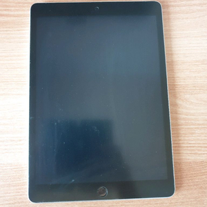 아이패드 9세대 64GB 실버 와이파이 + 짭플펜슬