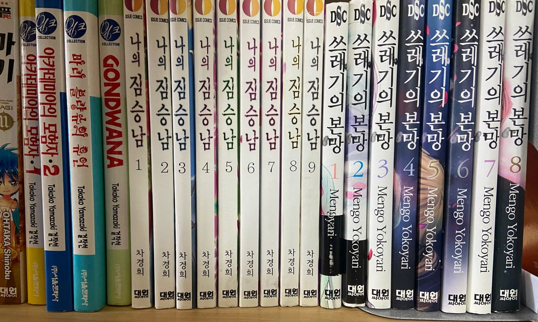 판도라하즈, 마기, 터치, 나와마녀의시간, 노라가미, 그리고 또 그리고, 쓰레기의본망 등--5