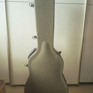 고퍼우드 기타 하드케이스 판매합니다