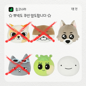 {보이넥스트도어 쁘넥도 쿠션 양도합니다}