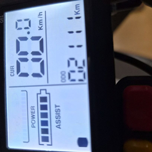 전동킥보드 위페드 스맥스9