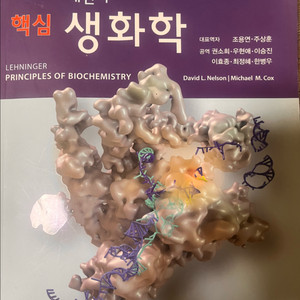 핵심 레닌저 생화학