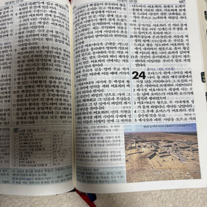 빅컬러 훼미리 성경책 성서원 편집본