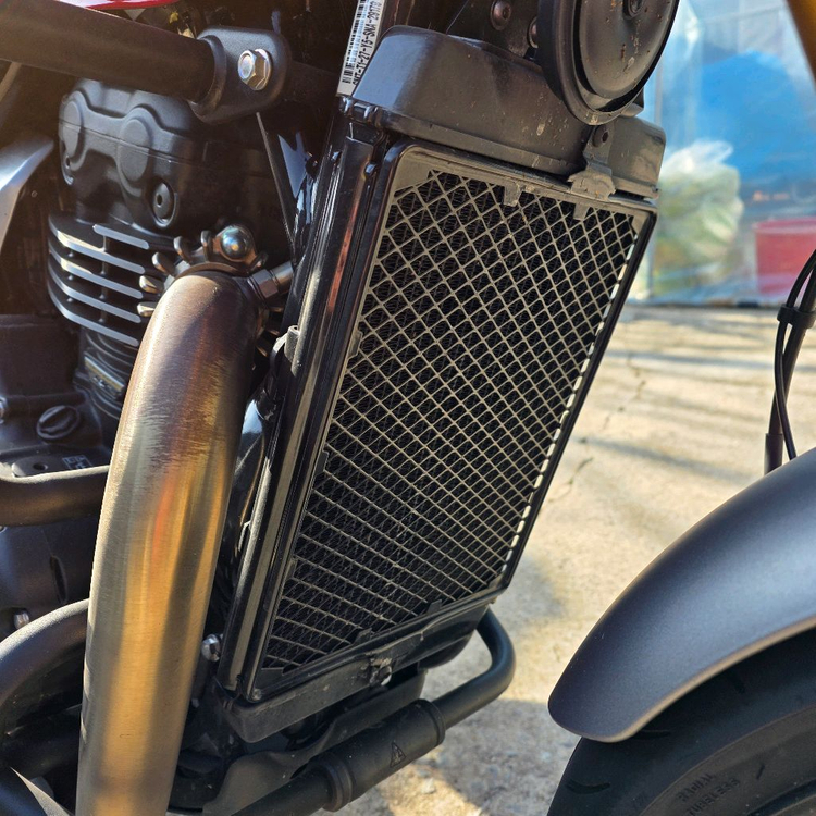 25년식 트라이엄프 스피드400 이미지