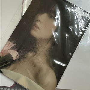 레드벨벳 아이린 칠킬 핸드폰케이스 포토카드 이미지