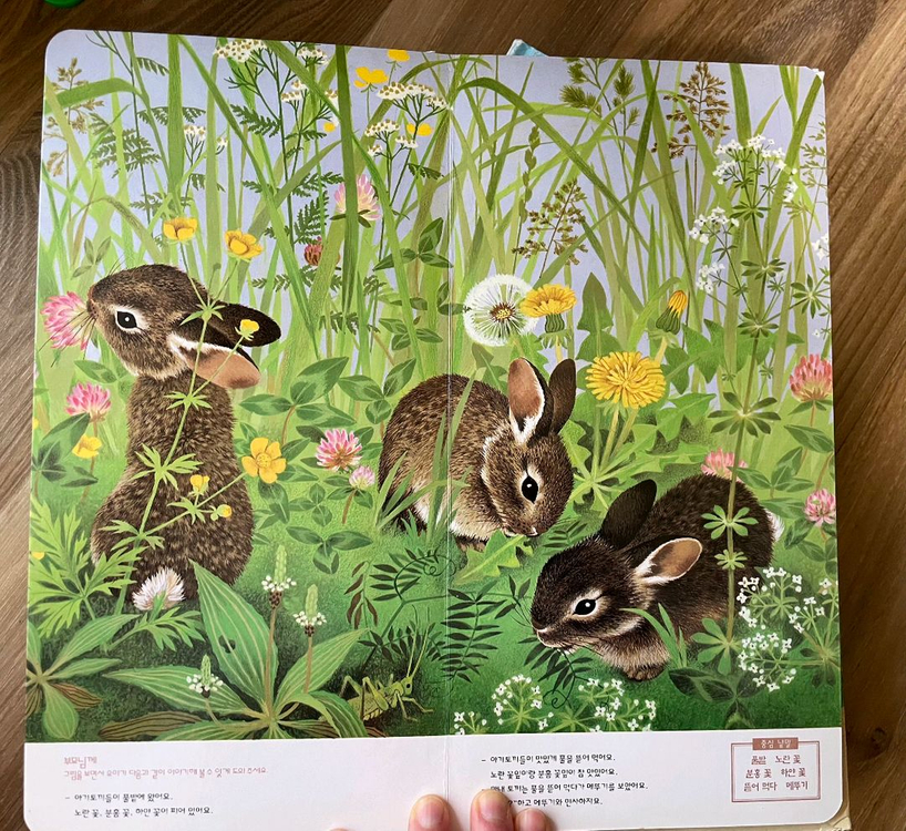 아가월드 나는꼬마 시리즈 외--1