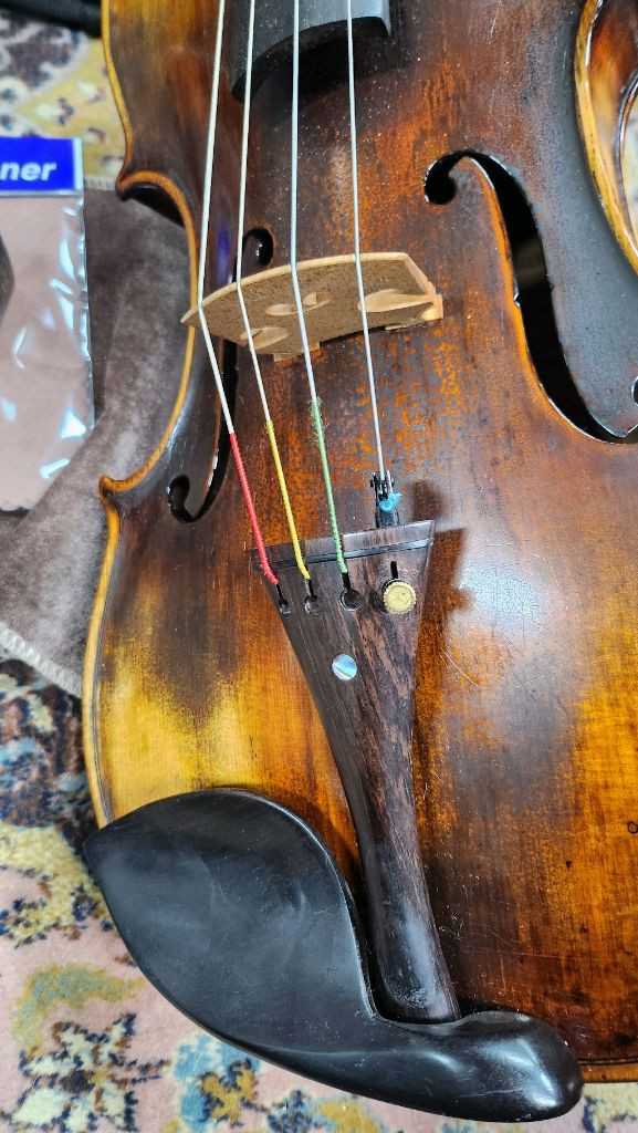 이태리 올드 비올라 16인치 전공용--7